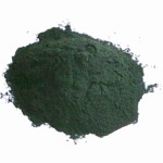 High Protein Spirulina Powder Manufacturer - 60% Protein