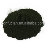 Chlorella Powder Manufacturer - Organic Green Powder