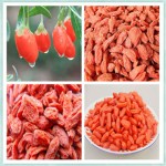 Organic Goji Berry Manufacturer - Dried Berry Supplier