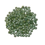 Organic Spirulina Tablets Supplier - Certified Organic