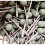 Catnip Lollipop Manufacturer - Matatabi Stick Toy