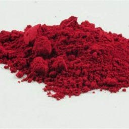 Feed Grade Phaffia Yeast Manufacturer - 0.5% Astaxanthin