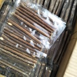Matatabi Chew Sticks Factory - Natural Silvervine