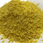 Nutritional Yeast Flakes Supplier - Vegan Protein