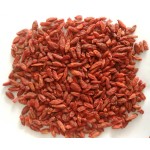 Organic Goji Berry Manufacturer - Dried Berry Supplier