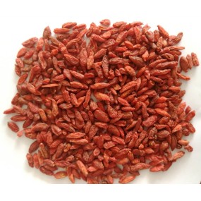 Organic Goji Berry Manufacturer - Dried Berry Supplier