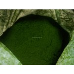 Chlorella Powder Manufacturer - Organic Green Powder