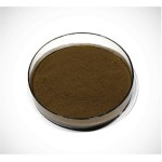 Chaga Mushroom Extract Factory - Inonotus Obliquus