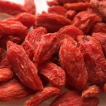 Organic Goji Berry Manufacturer - Dried Berry Supplier