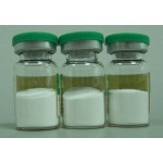 Cosmetic Hyaluronic Acid Factory - Sodium Hyaluronate