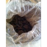 Bee Propolis Manufacturer - 98% Pure Propolis