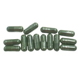 Chlorella Capsule Factory - Detox Supplement