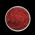 PQQ Disodium Salt Supplier - 99% Pyrroloquinoline