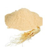 Ginseng Extract Manufacturer - 4%-80% Ginsenosides