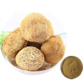 Free Sample Hericium Erinaceus Extract High Quality Lion's Mane Mushroom Extract Powder