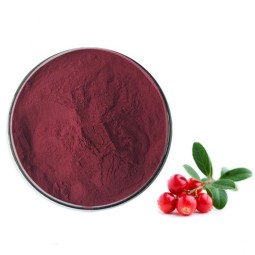 GMP Factory Supply Cranberry Fruit Powder Cranberry Extract Powder Cranberry Powder