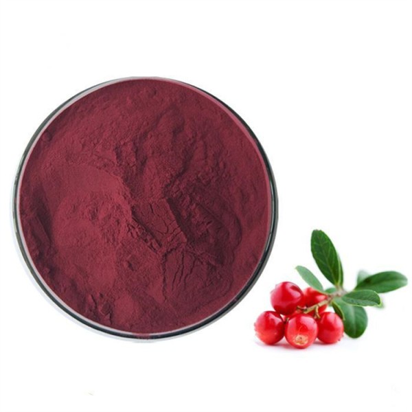 GMP Factory Supply Cranberry Fruit Powder Cranberry Extract Powder Cranberry Powder