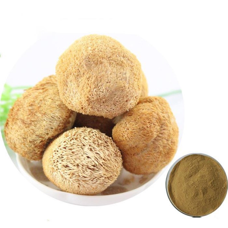 High Quality Organic Lions Main Hericium Erinaceus Extract Powder Lions Mane Extract