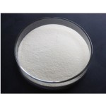 Top Quality Collagen I Type Bovine Collagen Hydrolyzed 90% Powder Free Sample