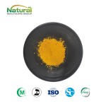 QYherb Manufacturer  Wholesale Bulk  Low Price  Coq10 Powder 10% 98% Powder Free Sample Available