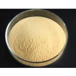 QYherb ISO Factory Supply High Quality Sunflower Disc Peptide Powder 5% Free Sample
