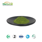 Organic Product Supply Organic Water Soluble Spinach Leaf Juice Powder Product Wholesale Price for Sale