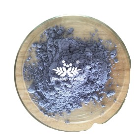 QYherb Factory Wholesales Bulk Plant Extract Butterfly Pea Flower Powder/Organic Butterfly Pea Powder 450 Mesh Free Sample