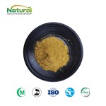 Cosmetic Grade Plant Extract Centella Asiatica Extract Asiaticoside 40%  CAS 16830-15-2 Free Sample Available