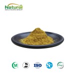 Cosmetic Grade Plant Extract Centella Asiatica Extract Asiaticoside 40%  CAS 16830-15-2 Free Sample Available