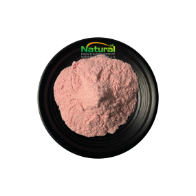 Organic Product Fresh Watermelon Powder Instant Watermelon Fruit Juice Powder Watermelon Powder Free Sample Wholesale Price
