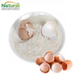 QYHerb Manufactory Direct Supply Best Egg Shell Membrane Powder Wholesale Price