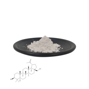 HACCP QYherb Factory Supply Ethanol & Water Birch Bark Extract Betulin Powder 98% Free Sample Available