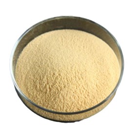 QYherb ISO Factory Supply High Quality Sunflower Disc Peptide Powder 5% Free Sample