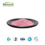 QYHerb Supply High Quality Watermelon Fruit Juice Powder Wholesale Price Pure Watermelon Fruit Powder Product  for Sale