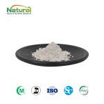 HACCP QYherb Factory Supply Ethanol & Water Birch Bark Extract Betulin Powder 98% Free Sample Available