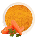 Organic Product QYHerb Supply High Quality Pure Organic Bulk the Carrot Juice Powder Product Cheap Price for Sale