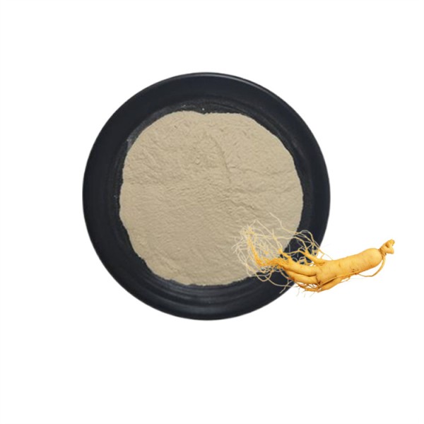 Top Grade Natural Korean Ginseng Powder  Red Ginseng Root Extract Powder