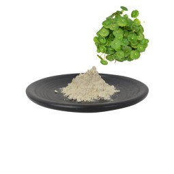 Qyherb Supply Plant Extract Centella Asiatica Extract Cosmetic HPLC Black Opel Powder Cosmetics 3 Years Drum,aluminum Foil Bag Free Sample