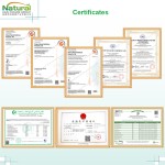High Quality 10% Ginsenoside Root Asian Ginseng Extract Price Panax Ginseng Root Extract Powder