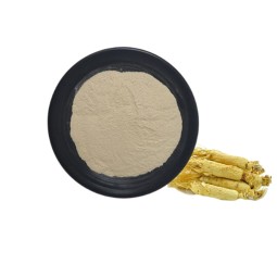 Hot Sell Water Soluble Korean Red Ginseng Root Extract in Stock Panax Ginseng Extract Powder