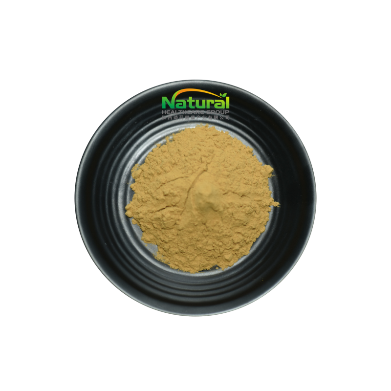 Wholesale Pure Herbal Extract 10% 98% Epimedium Extract Powder Penis for Healthy