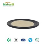 Top Grade Natural Korean Ginseng Powder  Red Ginseng Root Extract Powder