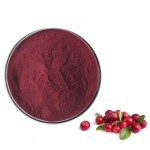 GMP Factory Supply Cranberry Fruit Powder Cranberry Extract Powder Cranberry Powder