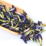 QYherb Factory Wholesales Bulk Plant Extract Butterfly Pea Flower Powder/Organic Butterfly Pea Powder 450 Mesh Free Sample