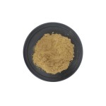 Free Sample Hericium Erinaceus Extract High Quality Lion's Mane Mushroom Extract Powder