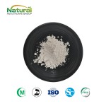 HACCP QYherb Factory Supply Ethanol & Water Birch Bark Extract Betulin Powder 98% Free Sample Available
