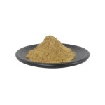 Free Sample Hericium Erinaceus Extract High Quality Lion's Mane Mushroom Extract Powder