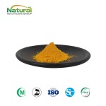 QYherb Manufacturer  Wholesale Bulk  Low Price  Coq10 Powder 10% 98% Powder Free Sample Available