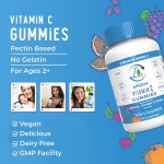 Vitamin C Gummies Supplier - Sugar Free Kids Immune Energy Support for Adults