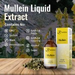 Pumpkin Seed Drops Manufacturer - Specially Designed Alcohol-free Urinary Health